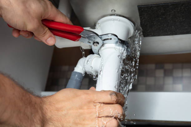 Best Flood damage cleanup  in Oconto Falls, WI