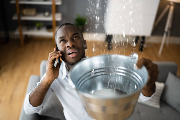 Best Sewage cleanup and water damage restoration  in Oconto Falls, WI