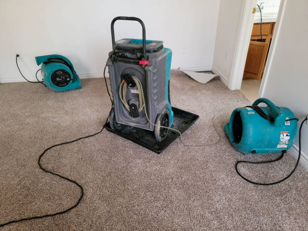 Best Professional water damage repair  in Oconto Falls, WI