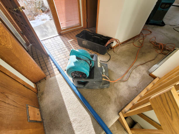 Best Mold removal after water damage  in Oconto Falls, WI