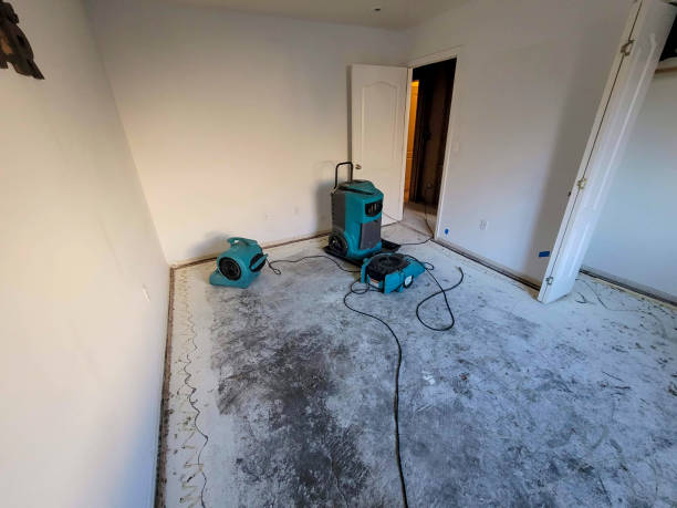 Best Water damage repair service  in Oconto Falls, WI