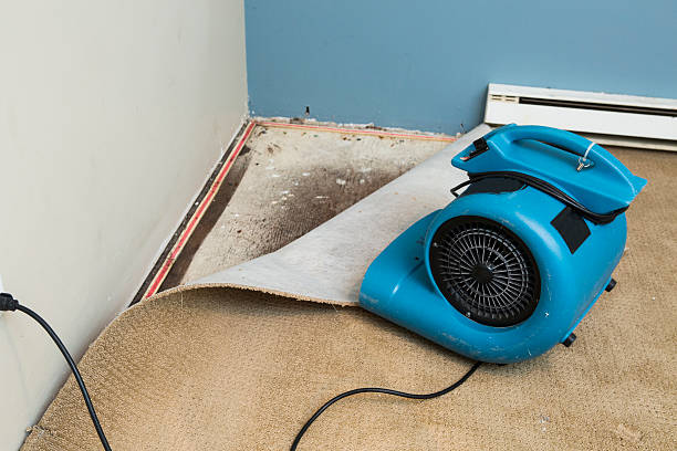 Best Water damage restoration insurance claims  in Oconto Falls, WI